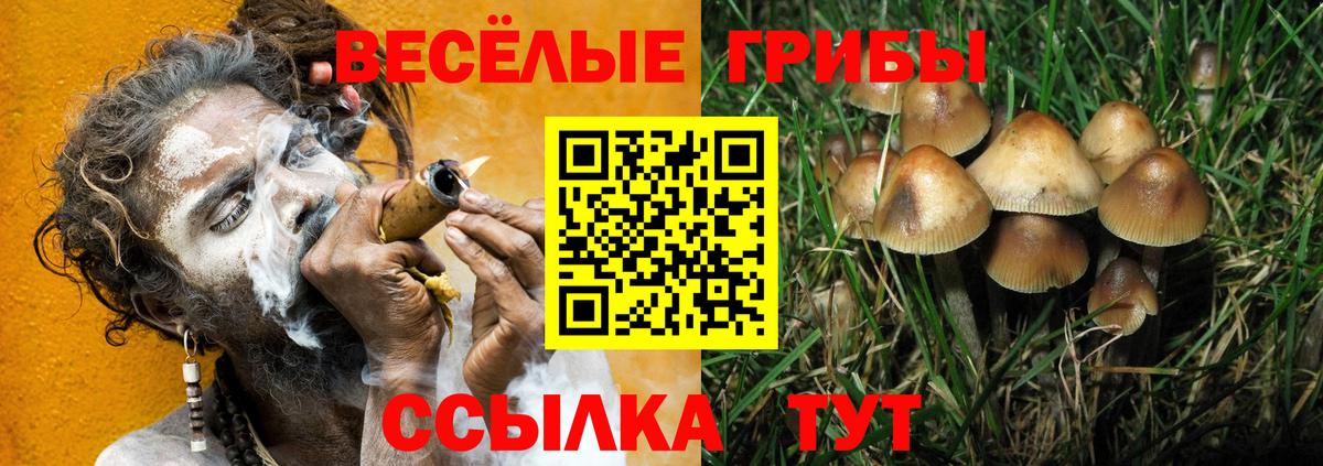 Буйнакск  Галлюциногенные грибы Psilocybe  Вход с VPN 